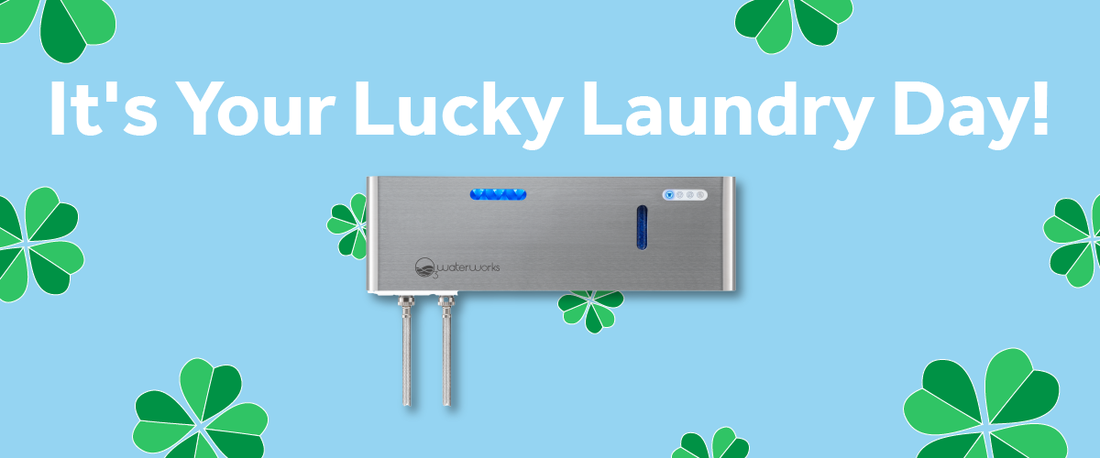 It's Your Lucky Laundry Day